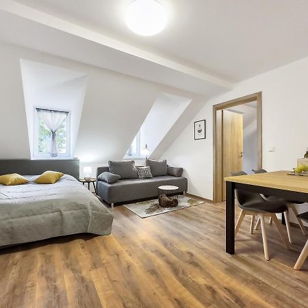Apartment Katrin 2 カルロヴィ・ヴァリ エクステリア 写真