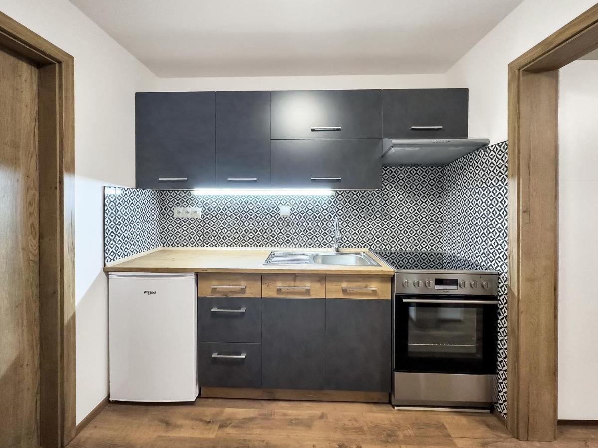 Apartment Katrin 2 カルロヴィ・ヴァリ エクステリア 写真