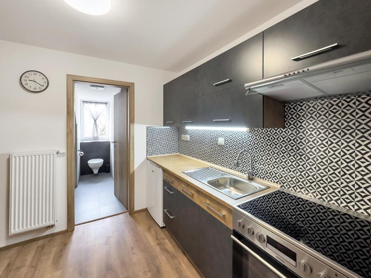Apartment Katrin 2 カルロヴィ・ヴァリ エクステリア 写真